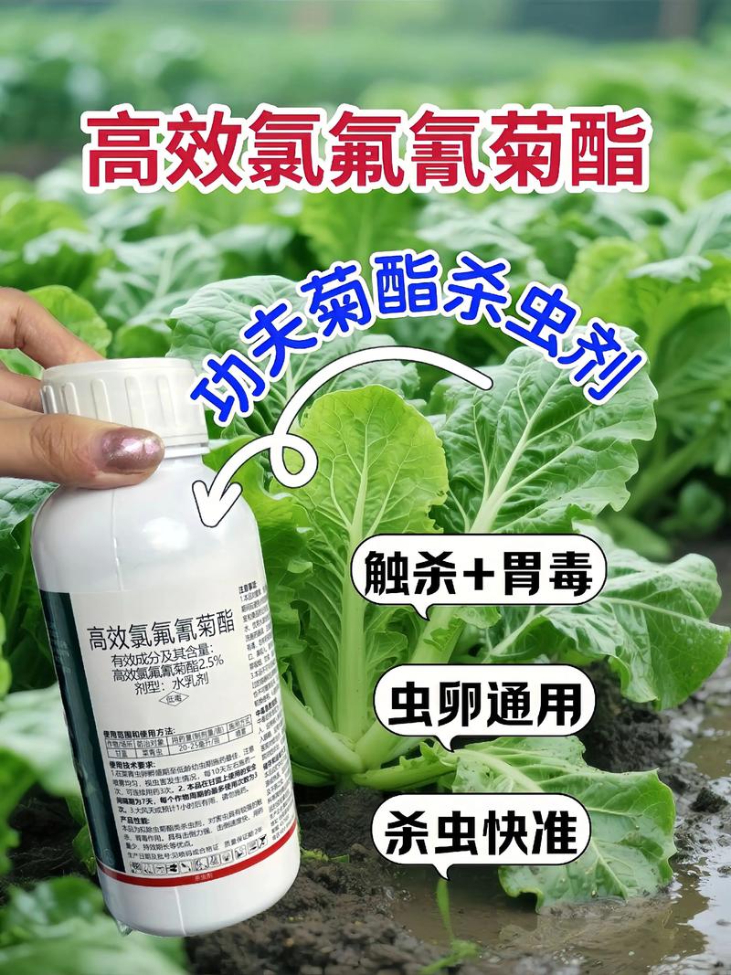 德阳代生中心:农药对供卵代生妈妈的危害